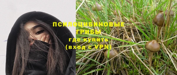ПСИЛОЦИБИНОВЫЕ ГРИБЫ Аркадак