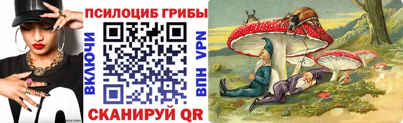 Галлюциногенные грибы GOLDEN TEACHER  что такое наркотик  Михайловск 